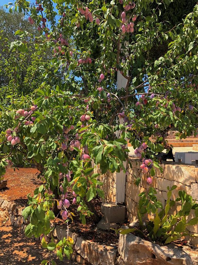 Dimore Storiche - Ulivo Di Aldo Martina Franca Eksteriør billede